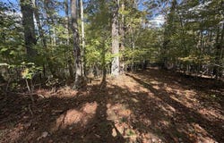 Byllesby Road, Ivanhoe, VA 24350