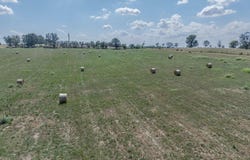 1584 E 517th Road, Brighton, MO 65617