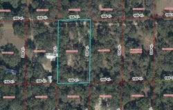 7770 NE 122nd Pl, Bronson, FL 32621