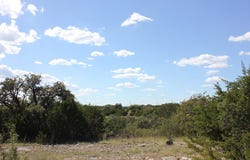 PID 3126 FM 2169, Junction, TX 76849