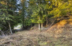NNA White Cloud, Sandpoint, ID 83864