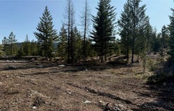 Kootenai Echo Trail, Rexford, MT 59930