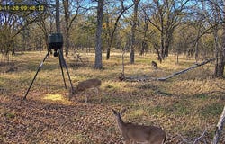 10885 S Us Highway 183, Lockhart, TX 78644