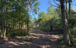 Par 3 Clements Road, Kaleva, MI 49645