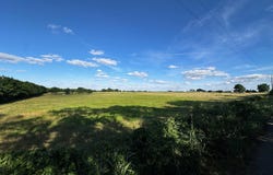 23 +/- Acres County Rd 4815, Leonard, TX 75452