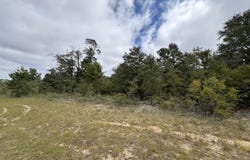Deltona Boulevard lot: 2, Chipley, FL 32428