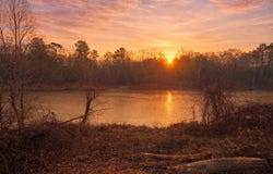 274 county road 3945, Colmesneil, TX 75938