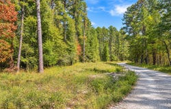 TBD (100) Manfred Road, Norman, AR 71960