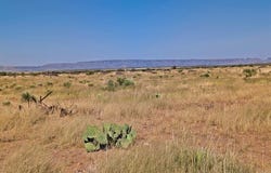 Valentine, TX 78754