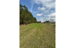 County Road 33, Louisville, AL 36048