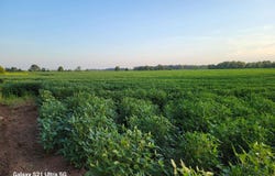 Masonville Road, McGehee, AR 71654