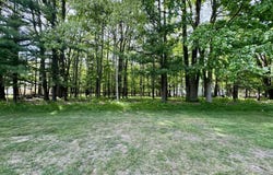 6798 Beechnut Ridge, Canadian Lakes, MI 49346