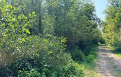 23637 561st Lane, McGregor, MN 55760