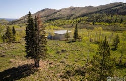 Parsons Draw Road, Walden, CO 80480