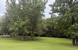 BEECHWOOD LOOP, Urania, LA 71480