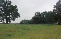 95 Means Drive, Platteville, WI 53818
