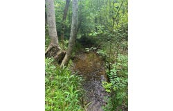 Old 60, Wilkesboro, NC 28697
