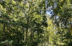 5000 Stone Oak Drive, Jackson, MI 49201