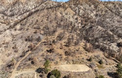 0 North Cardinal Rd, Wrightwood, CA 92397