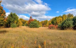 Parcel 2 E Darga Road, Cedar, MI 49621