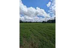 1762 County Road 19, Ariton, AL 36311