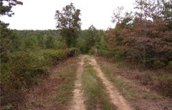 14847 Beneux Bottom RD, Mulberry, AR 72947
