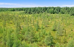 370th Lane, McGregor, MN 55760