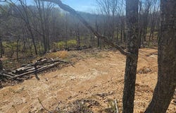 251 Riverview Rd, HOLLADAY, TN 38341