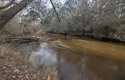 Plantation Lane lot: 9, DeFuniak Springs, FL 32433