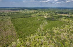 Beech Dr., Bismarck, AR 71921