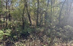 4.5A Honeysuckle Lane, Franklin, AR 72536