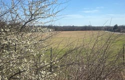 Briar Road, Azle, TX 76020