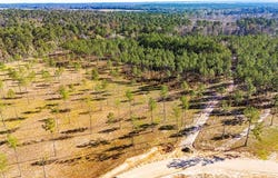 19 Big Buck Drive, Moscow, TX 75960