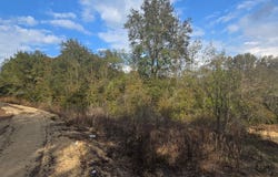 SE 252ND AVE, UMATILLA, FL 32784