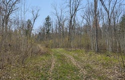 Foss Lane, Spooner, WI 54801