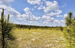 S Timber Ln lot: 49, Jay, FL 32565