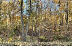 24 Beck Road, Poughkeepsie, NY 12601