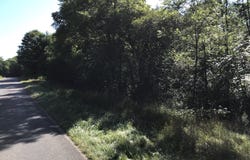 37111 Paw Paw Road, Paw Paw, MI 49079