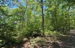 Bunker Hill Road, Killingworth, CT 06419
