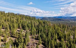 NKA N Whittum Rd, Priest River, ID 83856