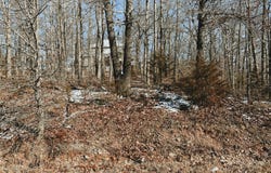 Lot 3 Block 13 Morrison Sub, West Plains, MO 65775