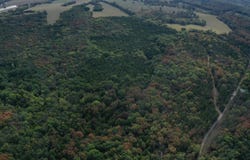 21000 Co Rd 190, Wheatland, MO 65779