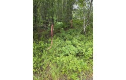 Poplar Lane lot: 175, Milbridge, ME 04658