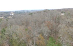 Cardinal Drive, Easley, SC 29642