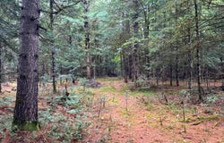 1.1 Farr Rd, Ohio, NY 13324