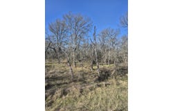 474 Fm 2958, Marlin, TX 76661