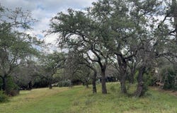 Bedford Dr, Spicewood, TX 78669
