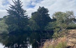 20 St SW, Bandon, OR 97411