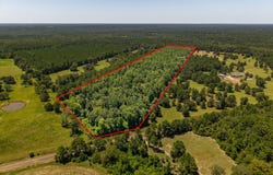 PID #13246 FM 323, Elkhart, TX 75839