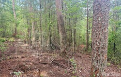 V/L Tahawus Drive, Bostic, NC 28018